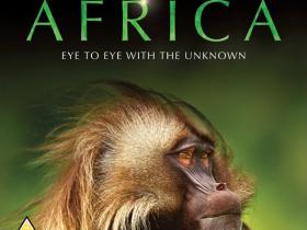 2013年大型纪录片《BBC：非洲》720p.BD中英双字幕