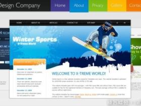 炙手可热的12款网站模板推荐