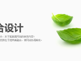 8个超酷实用的jQuery焦点图赏析及源码