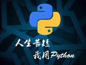 利用 openpyxl 下载腾讯文档调查表图片