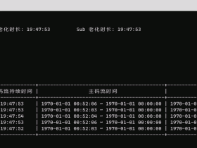 CMD窗口，轮询显示测试记录