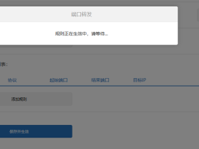 有时候,费脑感觉就是自己没带脑子,路由器SVN转发设置