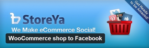 WooCommerce shop to Facebook - google adsense