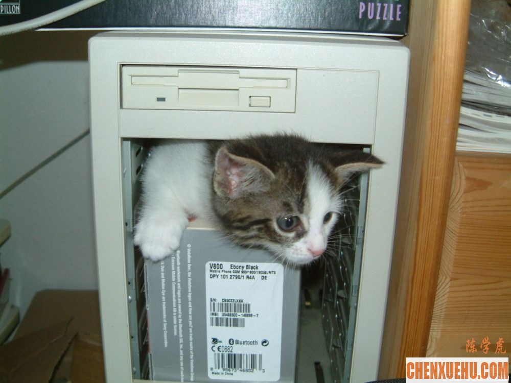"Computer kitten" by Tim "Avatar" Bartel